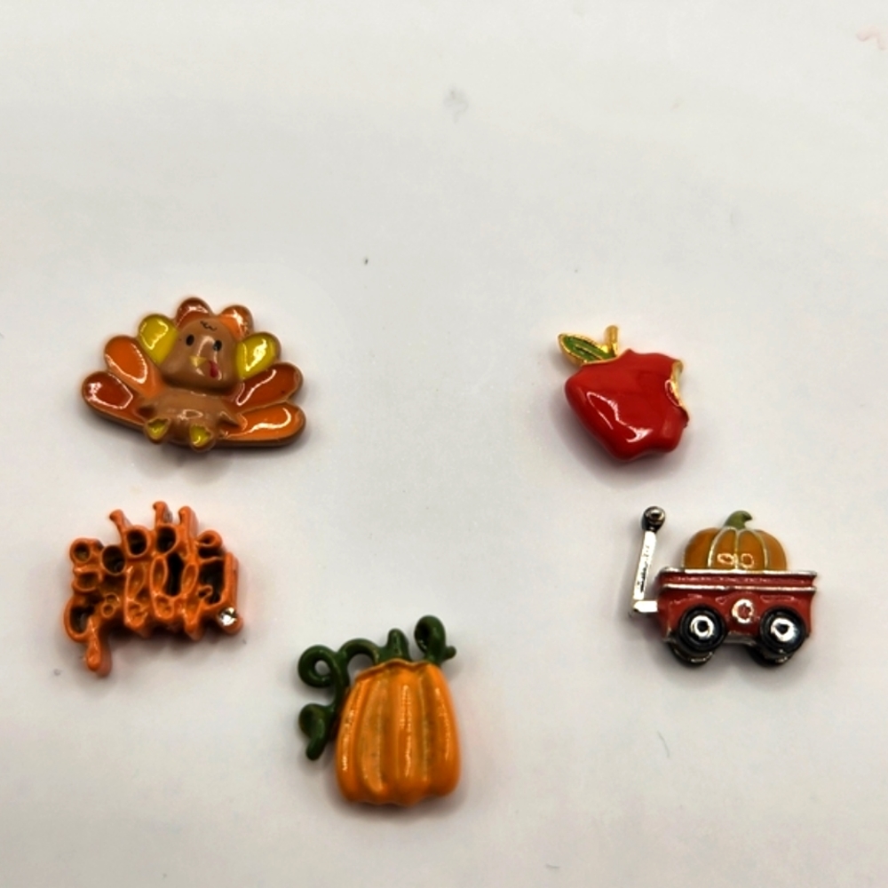 Origami owl charms
